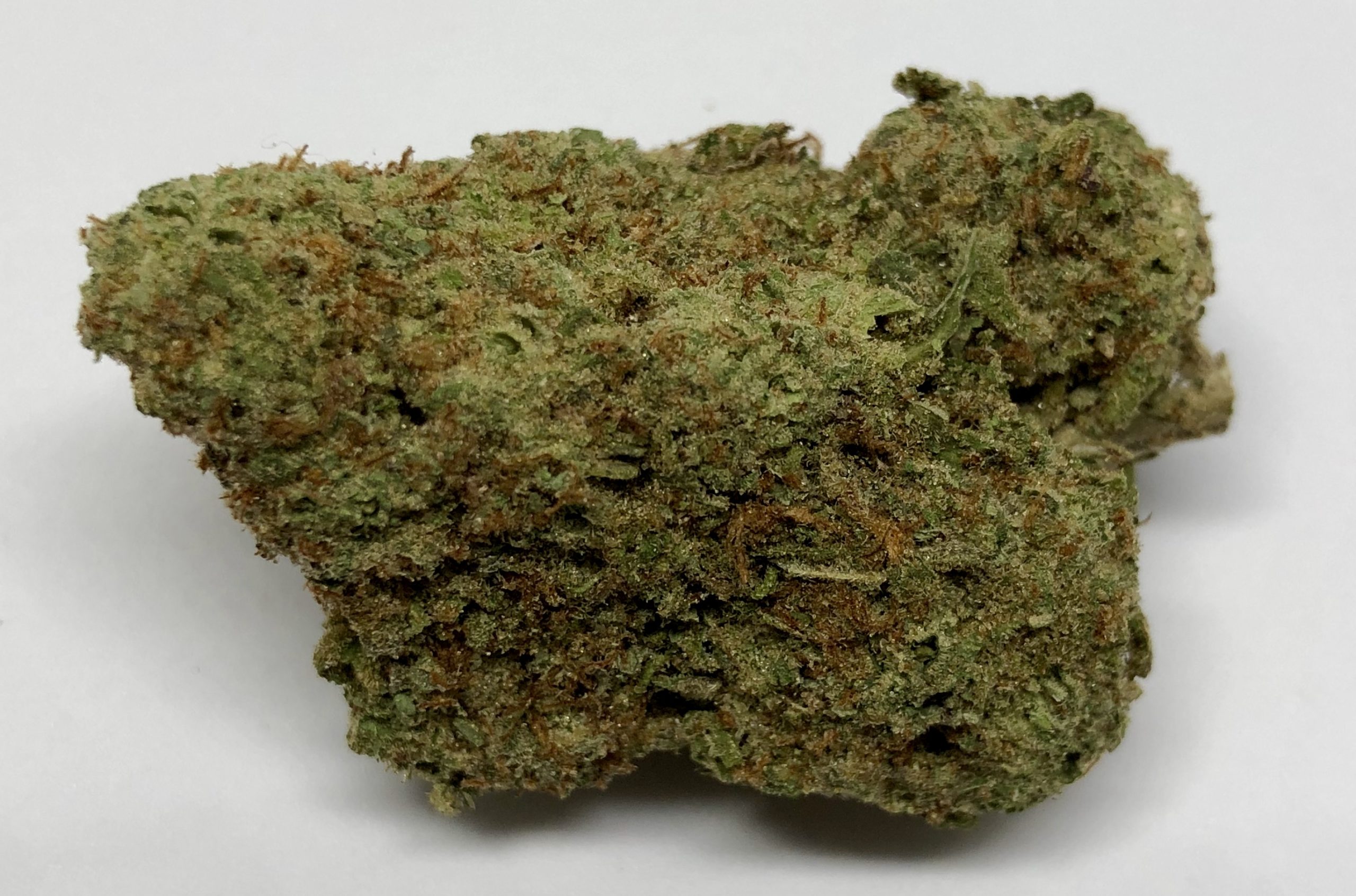 18B7CB77-279E-4D7B-8756-3EF31B3A3194-scaled-1