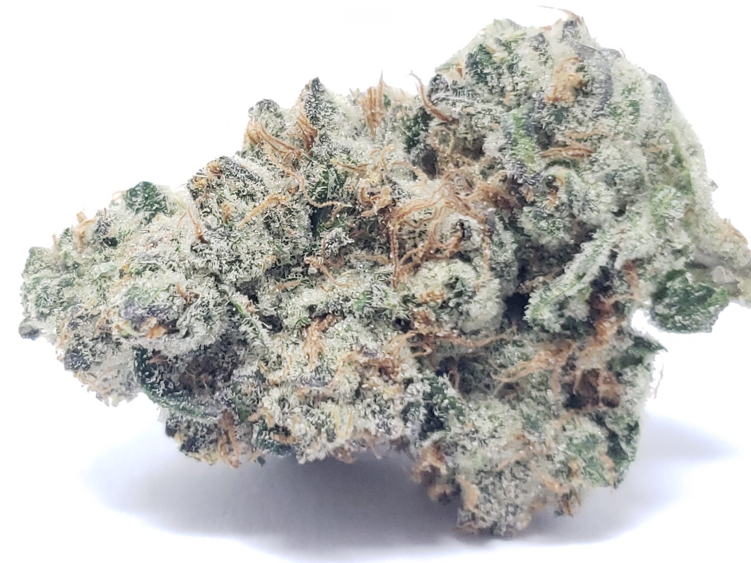 20200528_Fatso-AAAA-2-scaled-1