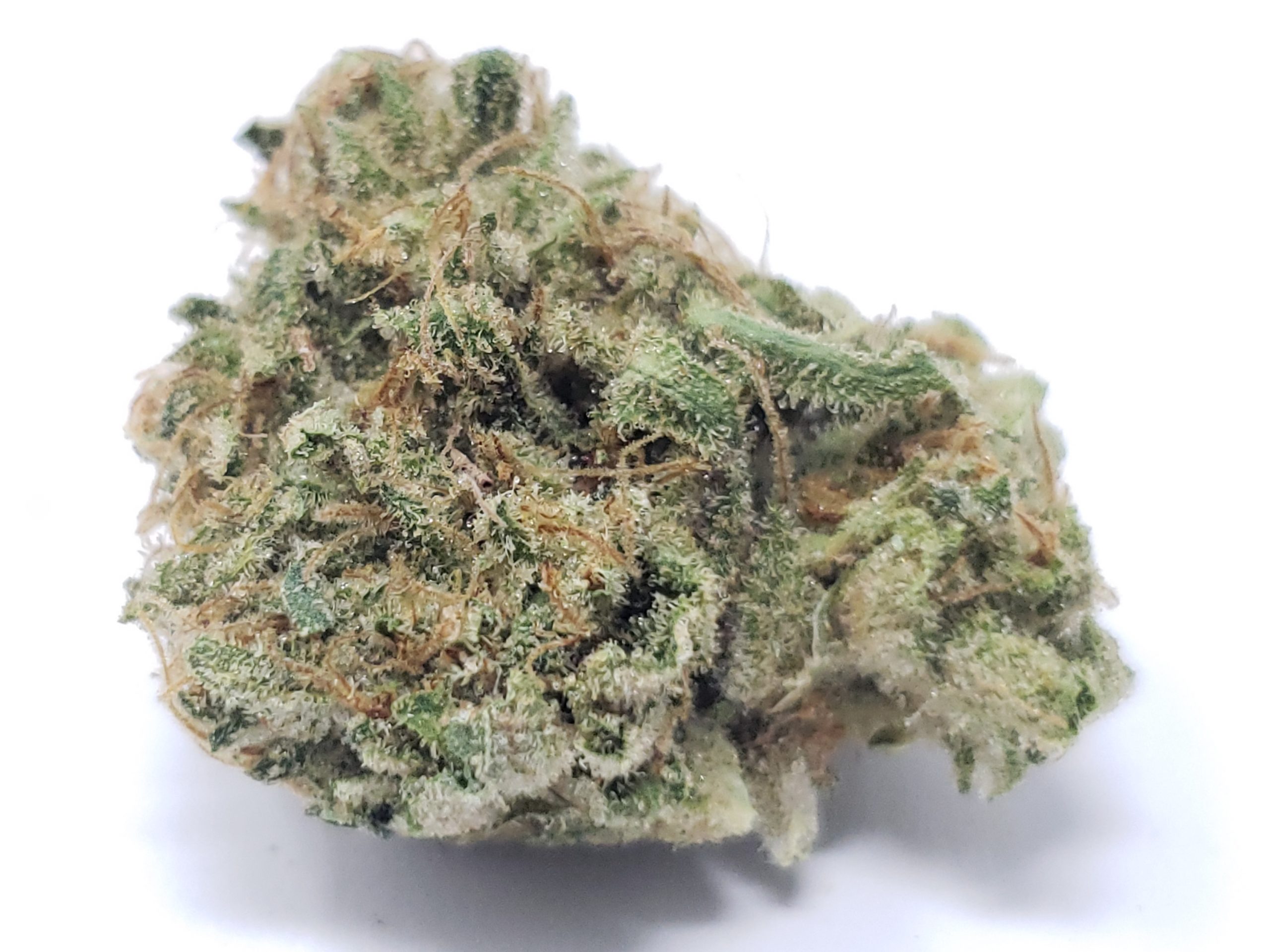 20200528_Strawberry-romulan-scaled-1