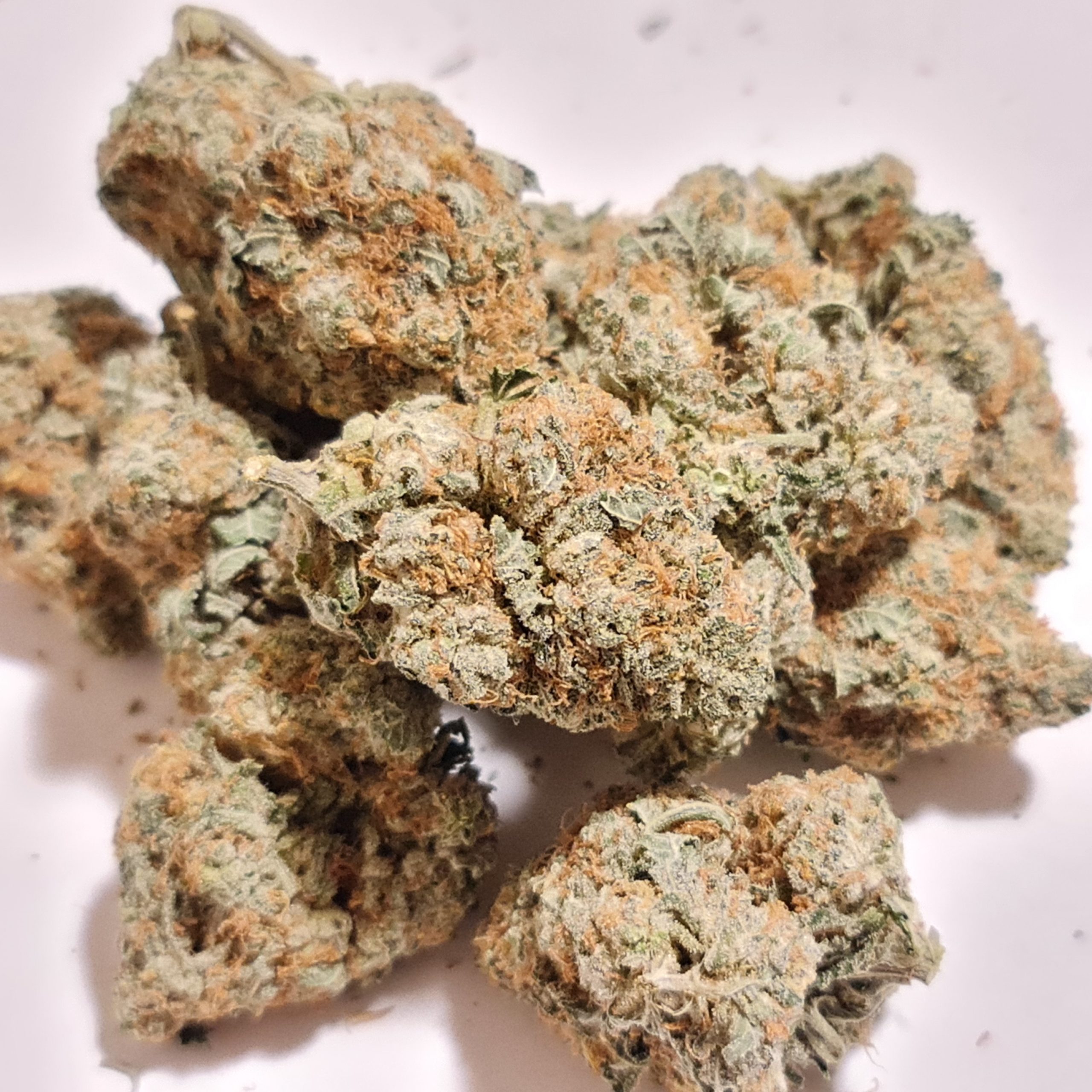 20210323_232413-scaled-1