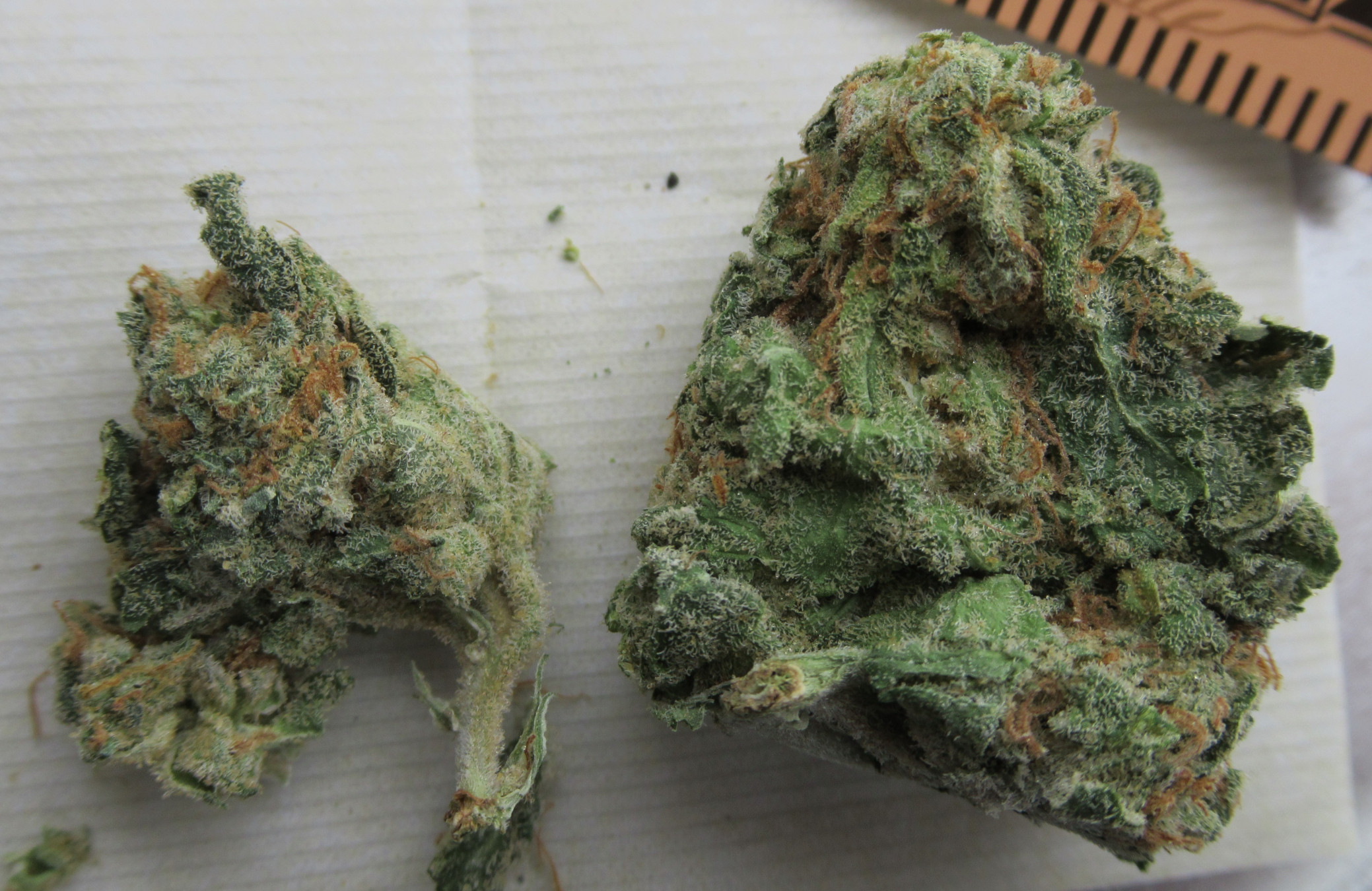 5319313fbf8a7279f48453c73ffc2fa5527b069e