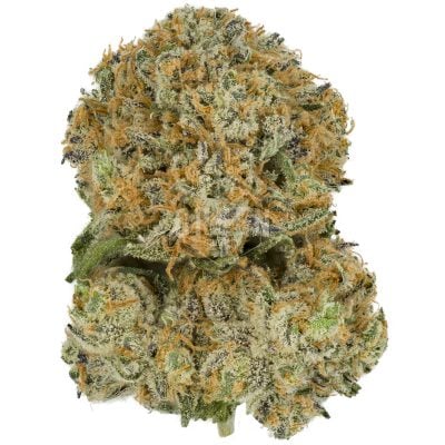 Blue-Gelato-41-by-Barneys-Farm-400x400-1