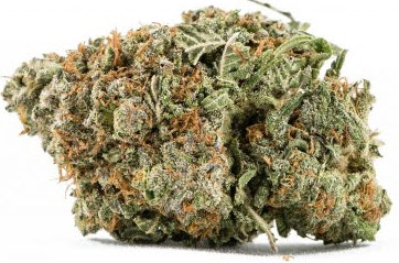 Godfather-OG-Weed-Strain-2-1