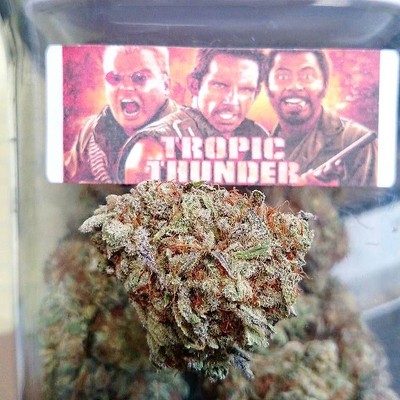 HrQUvNAYQZKv5lQcaFUt_Tropic-Thunder-😀😀😀