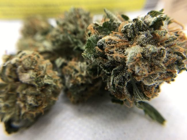 Purple-Space-Cookies-Strain-Review-Trichomes-Pistills-650x488-1