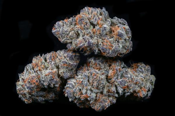 THCbbcookiesnov-6882_grande