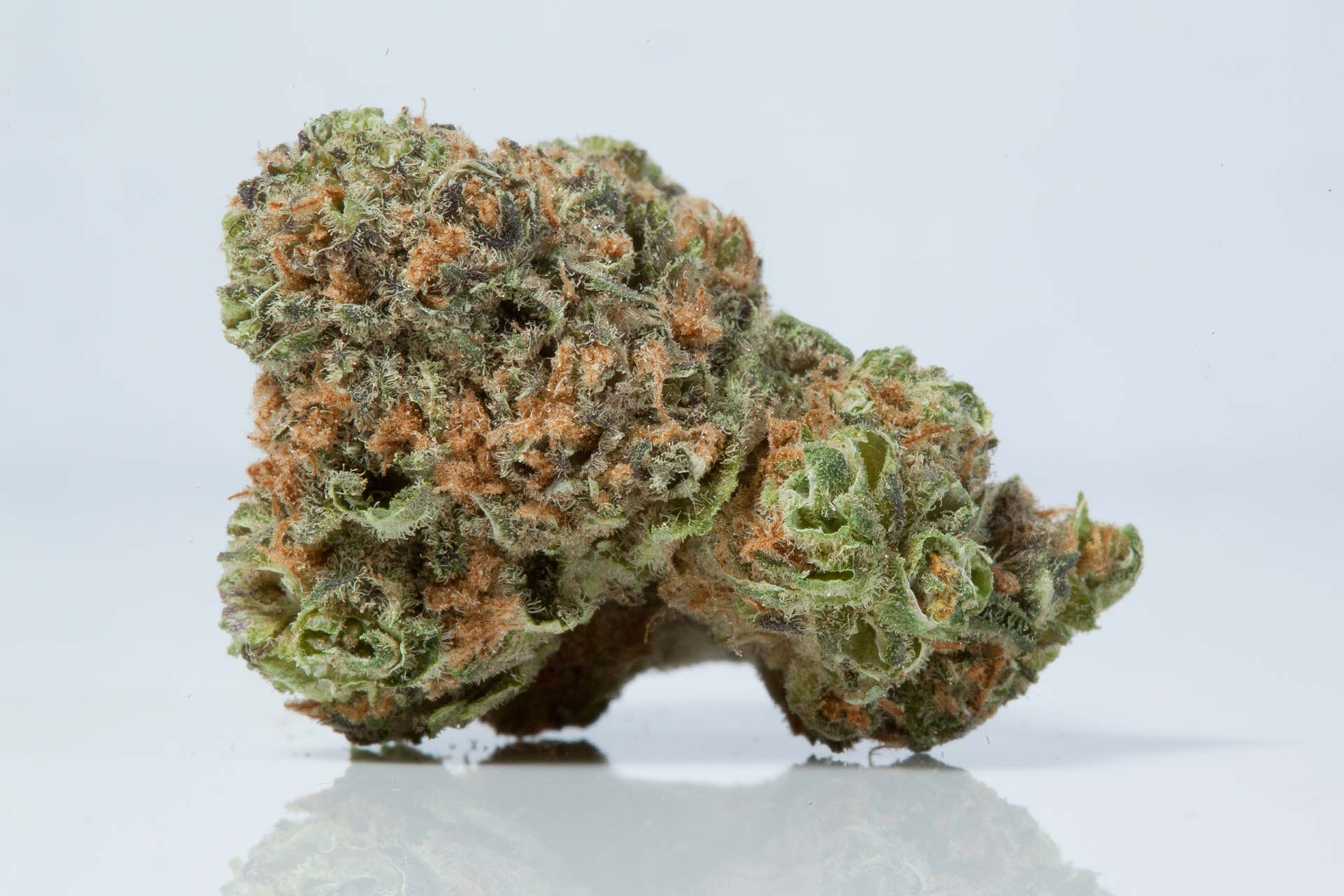 lightshade-pineapple-express-strain-1-1