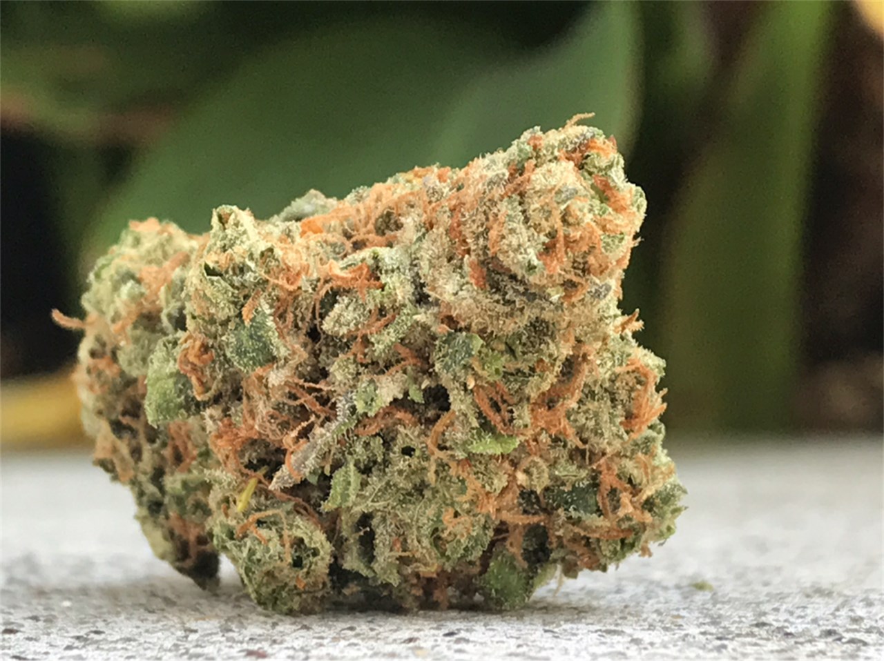 maui-wowie__primary_7c71